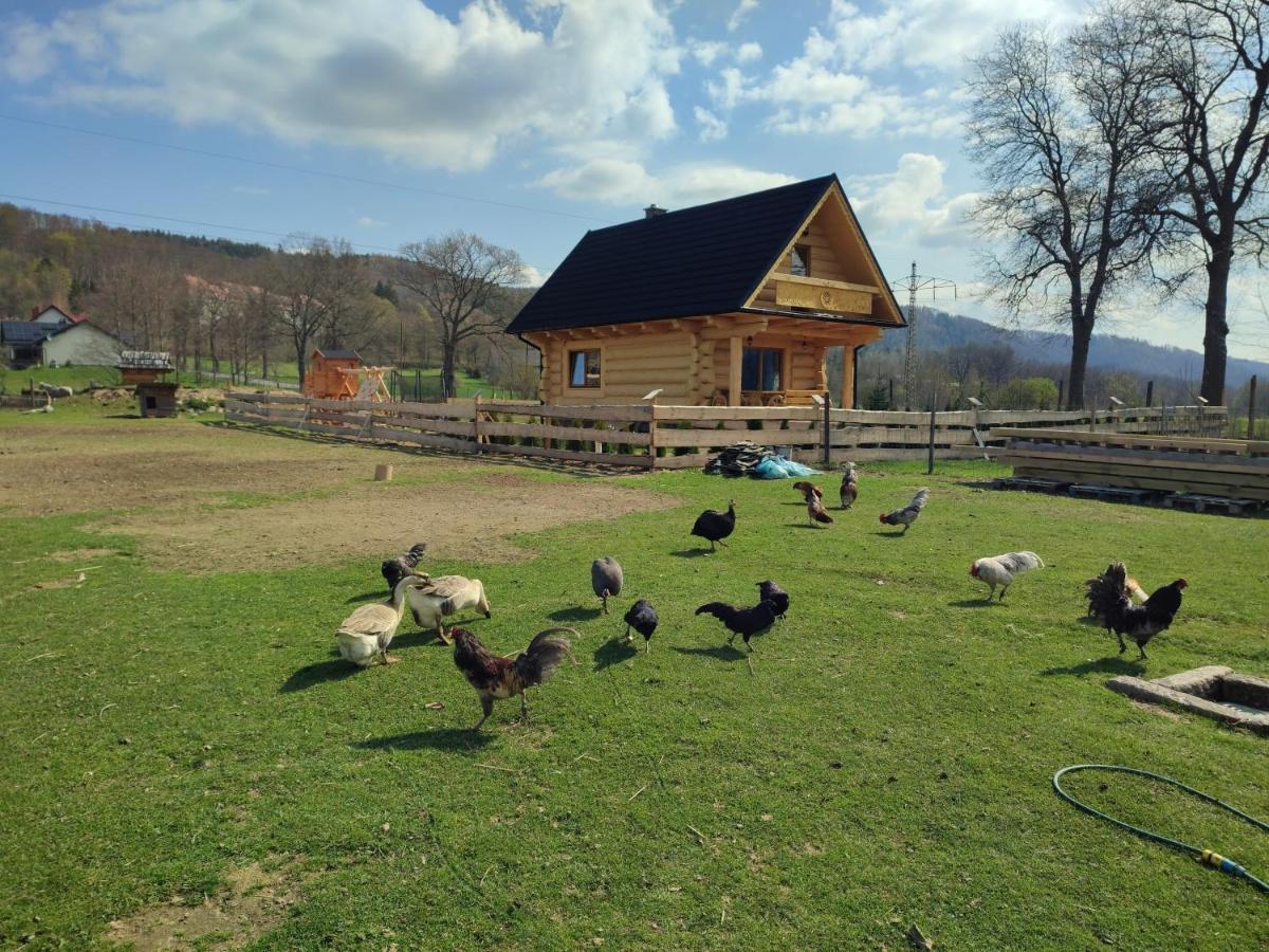 Sudecki Dym Z Kominkiem Kolo Karpacza. Agroturystyka Яновіце Вєлькіє Екстер'єр фото